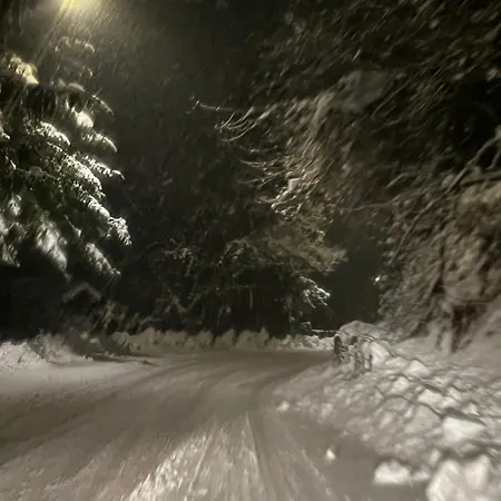 Casa Regis * סן ג'אקומו